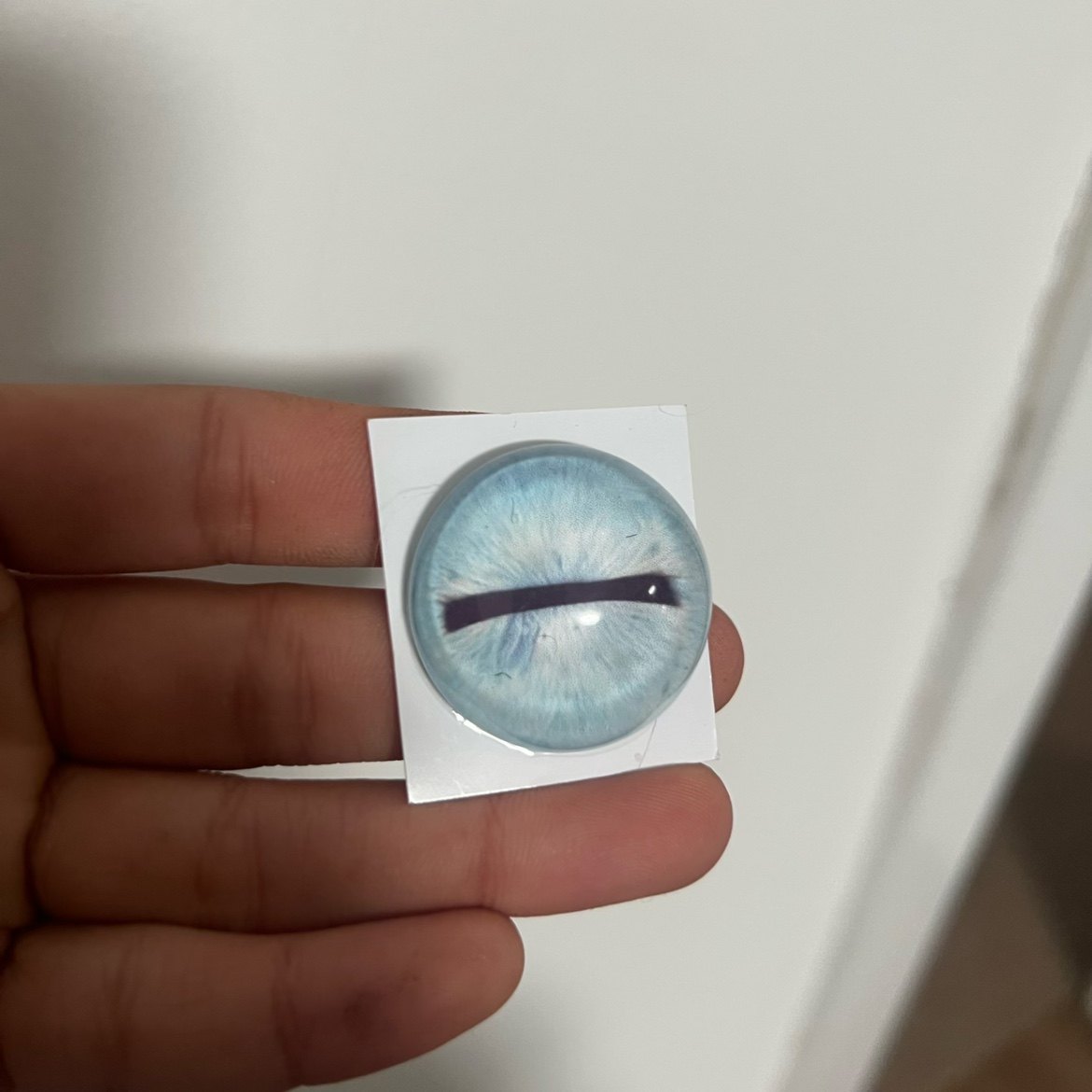 蜥蜴守宫兽头标本玩偶半球玻璃眼睛毛毡动物圆瞳仿真眼捏捏福瑞,淘宝优惠券,粉丝福利购,淘宝优惠卷