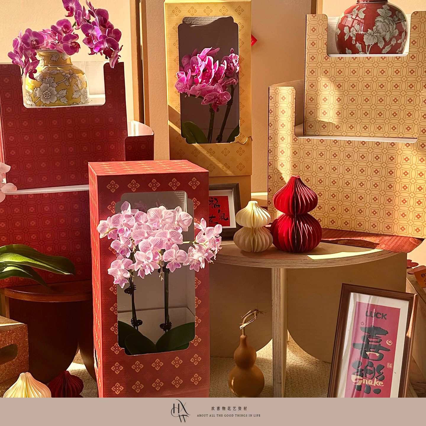【欢喜物】2026马年新年蝴蝶兰礼盒 盆栽花瓶盒插花礼袋花束花盒,淘宝优惠券,粉丝福利购,淘宝优惠卷