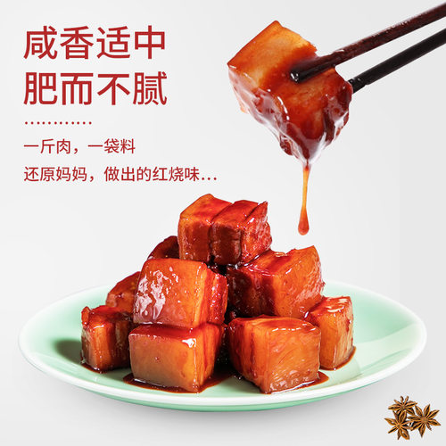 渝珍红烧肉调料包红烧排骨猪蹄红烧肉料理包做猪肉家用酱汁调味料 - 图1