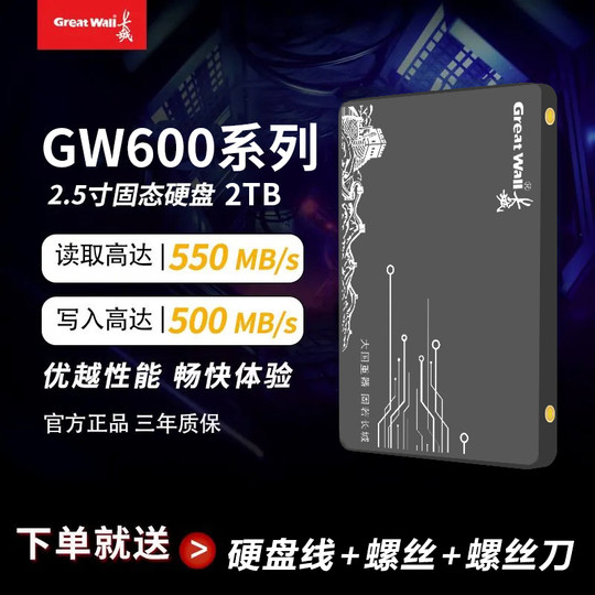 Great Wall 2,5-Zoll-SATA3.0-Solid-State-Laufwerk mit 1 TB