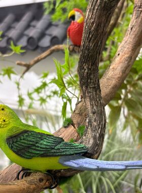 田园风仿真鹦鹉装饰挂件