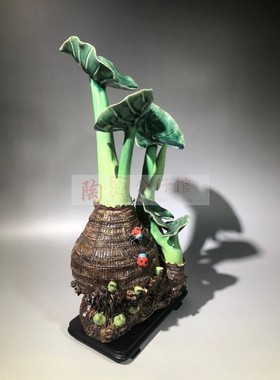 客厅酒柜摆件芋头生机勃勃