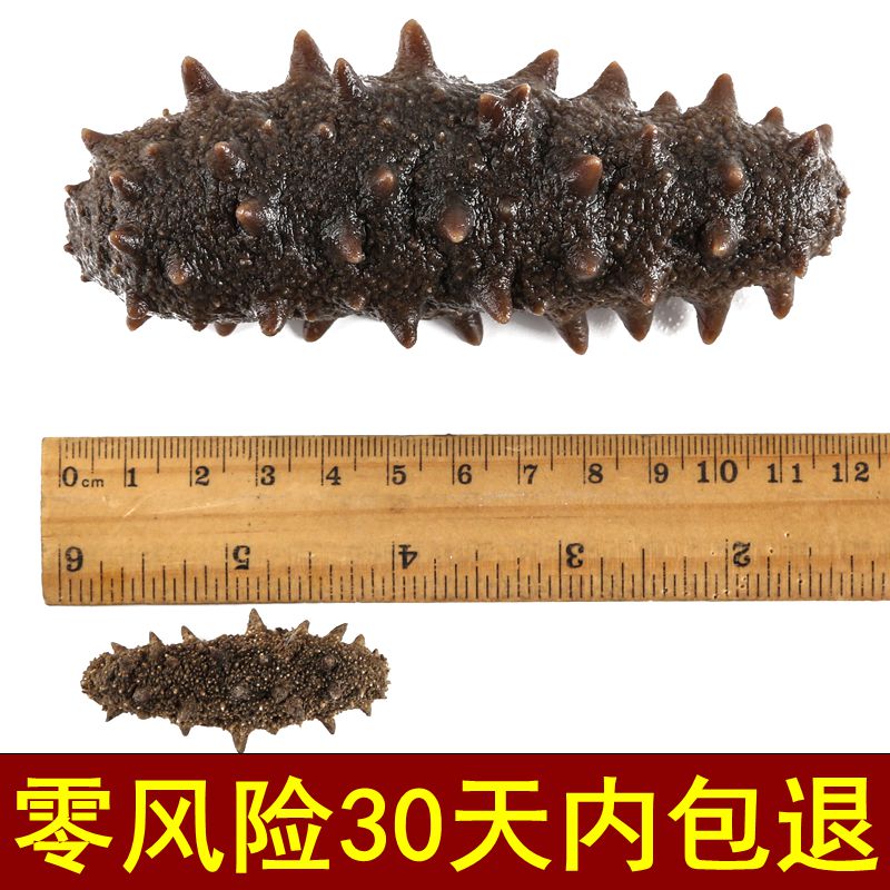 威海龙珍海参龙珍海参干货50g 威海野生海参鲜活刺参海生特价淡干海参散装海渗1