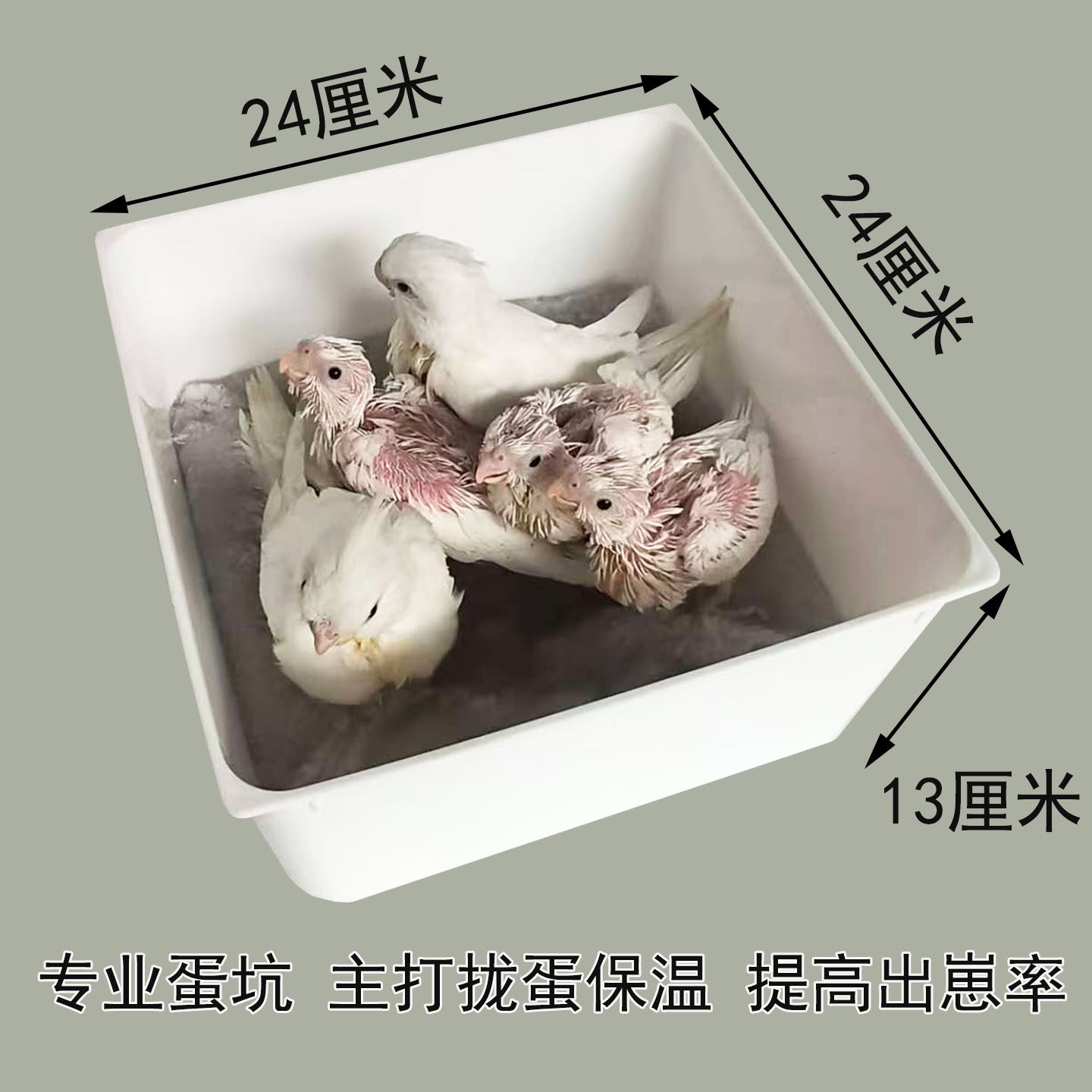 鹦鹉繁殖箱智能保温加热鸟窝立式带抽屉抗咬带蛋坑木头旋风小太阳,淘宝优惠券,粉丝福利购,淘宝优惠卷