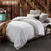 Small sheep wool quilted by students Dormitory Single Quilt Winter Thickened Warm Cotton Quilted by Core Quilt Spring Autumn Seasons