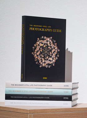 零基础学静物摄影 现代真书内页别墅大风格摆件装饰桌面卧室拍摄