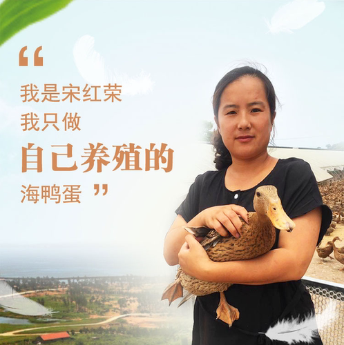 宋红荣威海乳山海鸭蛋海边散养海鸭蛋挂子场富硒咸蛋30枚装包邮 - 图2