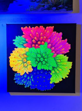 纯手绘海缸装饰荧光画海水鱼珊瑚荧光丙烯画30厘米方