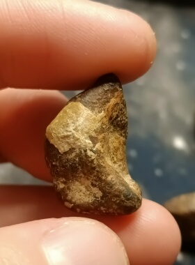 摩洛哥Taza铁陨石定向原石原皮