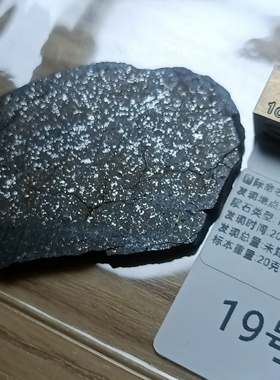 西北非NWA石陨石科学切片L或H型