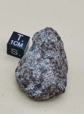 特殊地质标本ErgChech002陨石