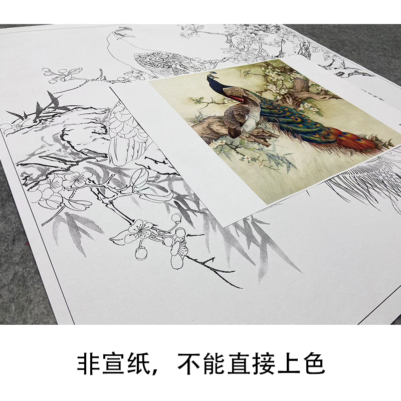 【大彩图】陈军工笔画白描底稿小品《孔雀》临摹勾线花鸟线稿CJ59 - 图1