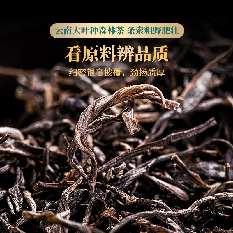 1000克布朗山普洱茶生茶散茶茶叶云南古树茶礼盒森林老树春茶2斤