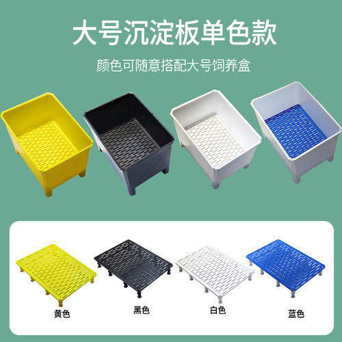 中大号发色沉淀板隔离板乌龟窄桥萨尔纹头盔果核巨头剃刀东方红面 - 图3