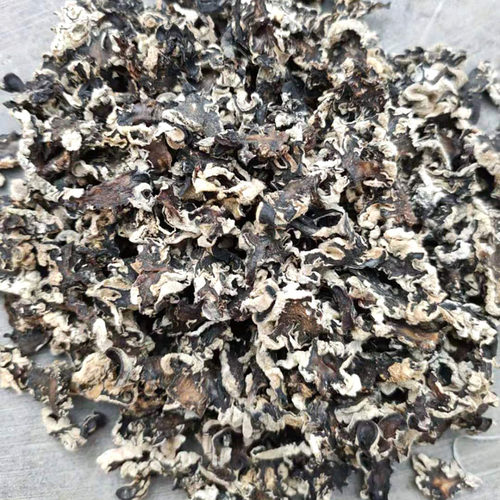 猴脑菇干货500g切好的片酒店食材玛咖菌海参菇猴脑菌核桃菌黑松菌 - 图0