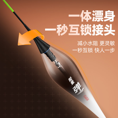 小凤仙OLED灯珠行程浮漂316电子夜光漂咬钩变色高灵敏2026新款 - 图1