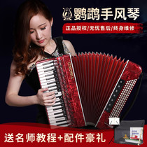 Parrot Card Accordion 120 Besse Four Leaf Springs Adult Children Beginners Entry-level Professional Playing