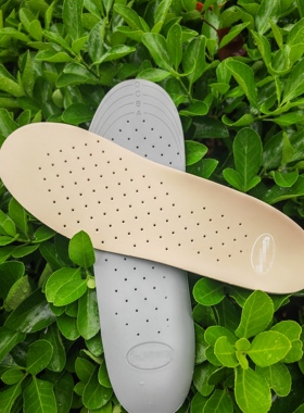 品牌爽健dr.scholl's休闲特点透气吸汗防臭皮鞋运动男女式鞋垫