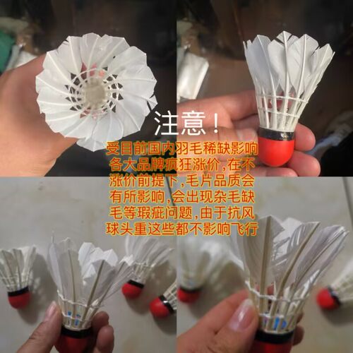 鹅毛抗风室外橡胶红皮头羽毛球耐打王飞速球重羽毛球10只装 - 图0