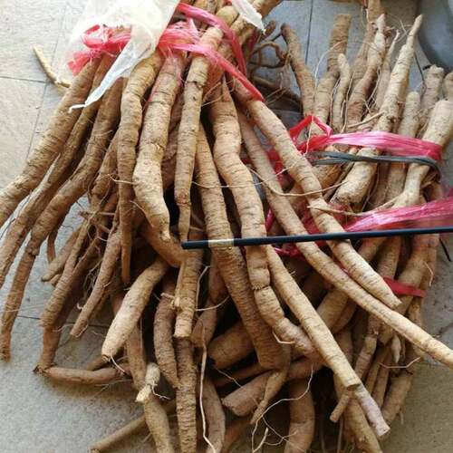 牛大力新鲜干货野生粉质薯特级农家自产山莲藕金钟根滋补煲汤500g - 图2