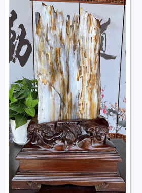 客厅书房摆件树化玉天然木化石