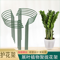 Iron art flower support frame Flower Racks Money Tree Embroidered flowers Climbing Vine Plant Semi-circle Care Leaf fixed shelf Anti-fall Volvo