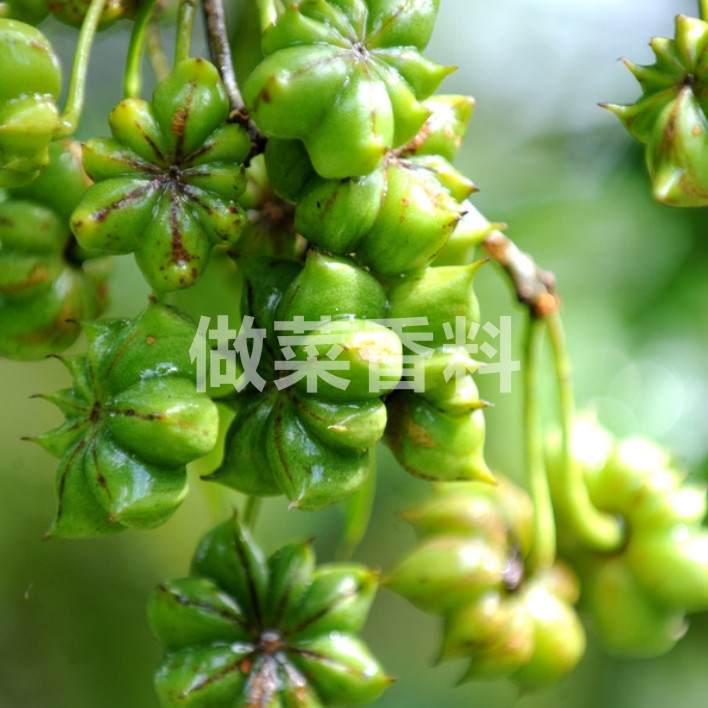 新货四川八角无硫熏大茴香大料调料香料卤料底料农家自产自销100g - 图0