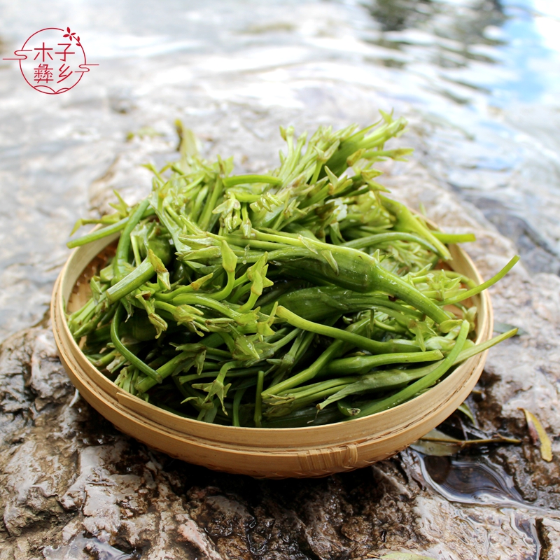 云南特产水性杨花新鲜蔬菜泸沽湖丽江海菜现摘海菜大理洱海海菜花 - 图1