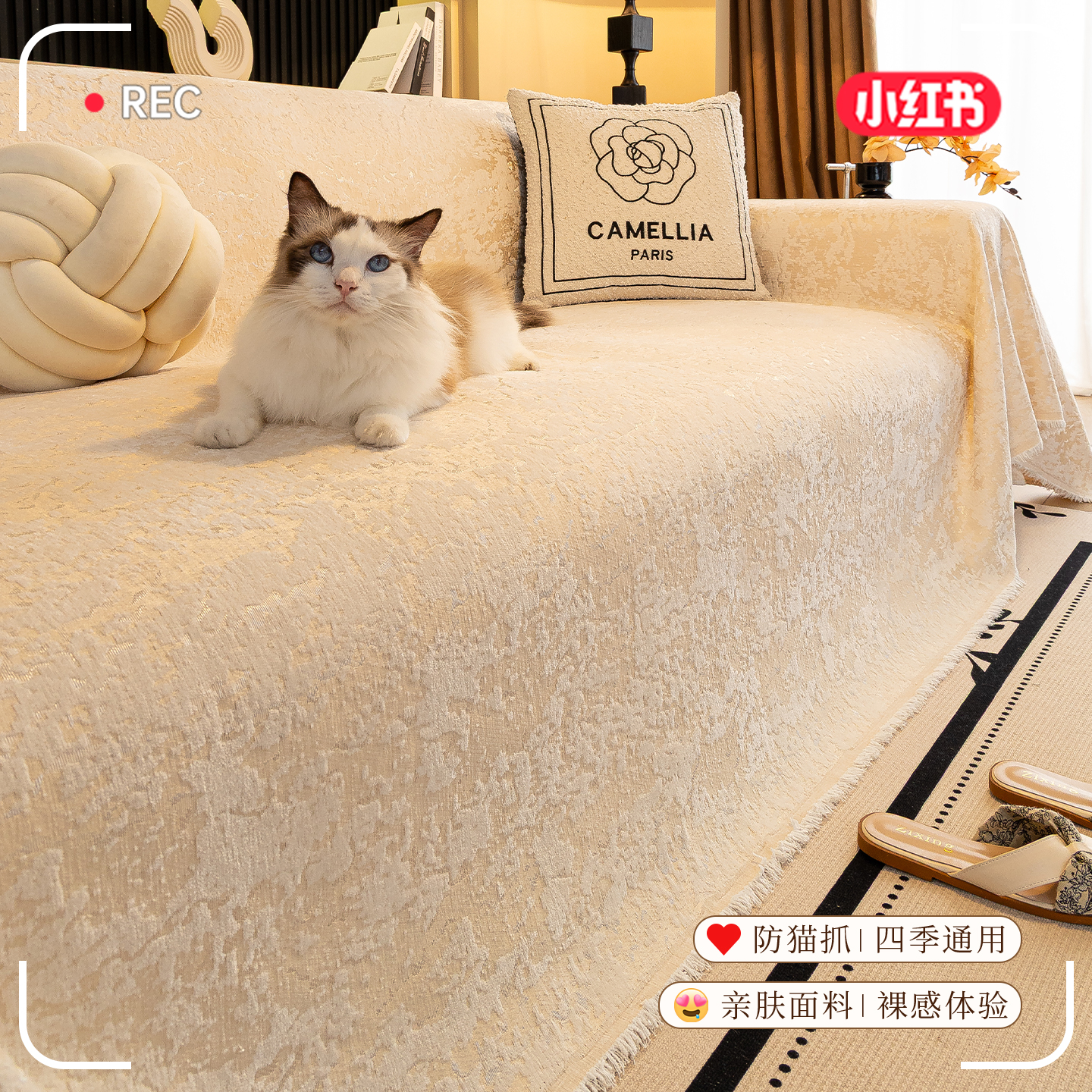 2025新款沙发盖布巾四季通用防滑防猫抓防尘沙发套罩盖巾沙发垫子 - 图0