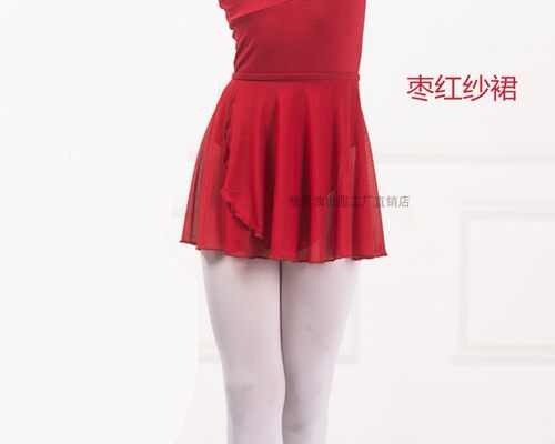 儿童舞蹈服女童练功服芭蕾半身锦纶纱裙演出围裙拉丁中国舞考级裙 - 图2