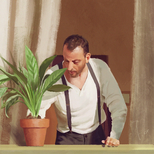 这个杀手不太冷同款植物盆栽银皇后万年青客厅绿植室内盆栽好养 - 图0