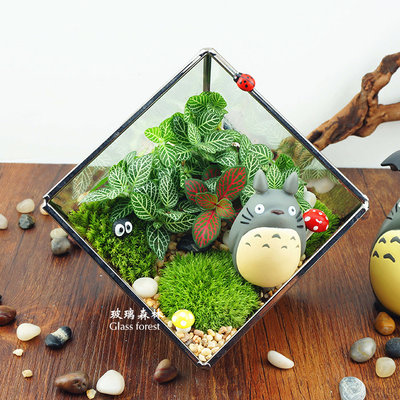 微景观苔藓植物生态瓶玻璃花房创意迷你盆栽绿植摆件生日礼物女生 虎窝淘