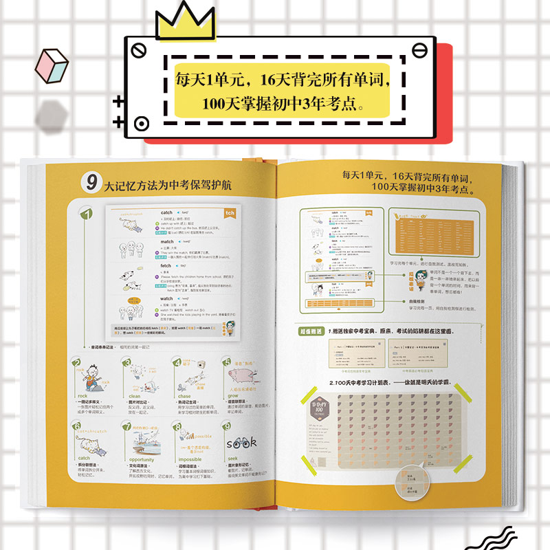 南瓜姐姐 图背单词 初中英语词汇1600新课标词 800图解核心词中考英语词汇