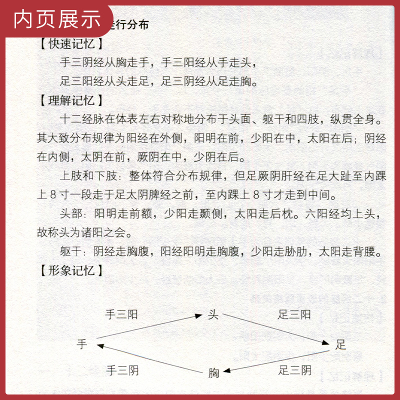 正版 经络腧穴速速强记法 掌阅中医课程系列 福建科学技术出版社黄泳 张继苹 - 图1