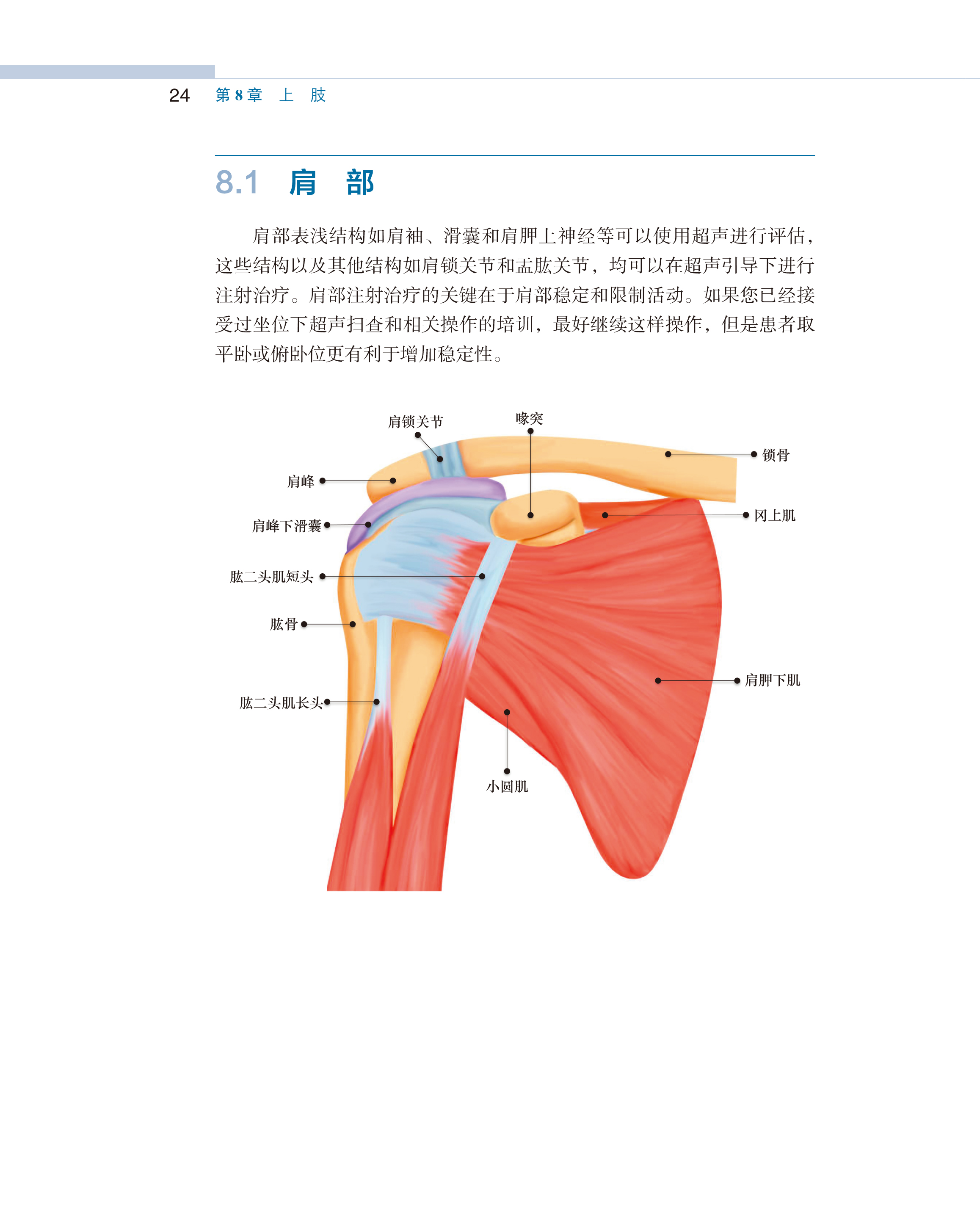 正版 超声引导下肌肉骨骼操作实用图谱安全措施和知情同意注射治疗的适应证和禁忌证器械准备 注射治疗后流程 北京大学医学出版社 - 图0