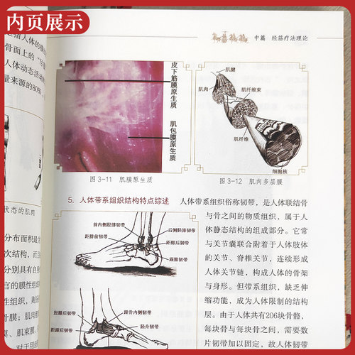 经筋疗法（第三3版）黄艺 黄敬伟中国中医药出版社传承壮医诊病祛病精华疑难杂症一扫光实用全彩手法图示指导书 - 图2
