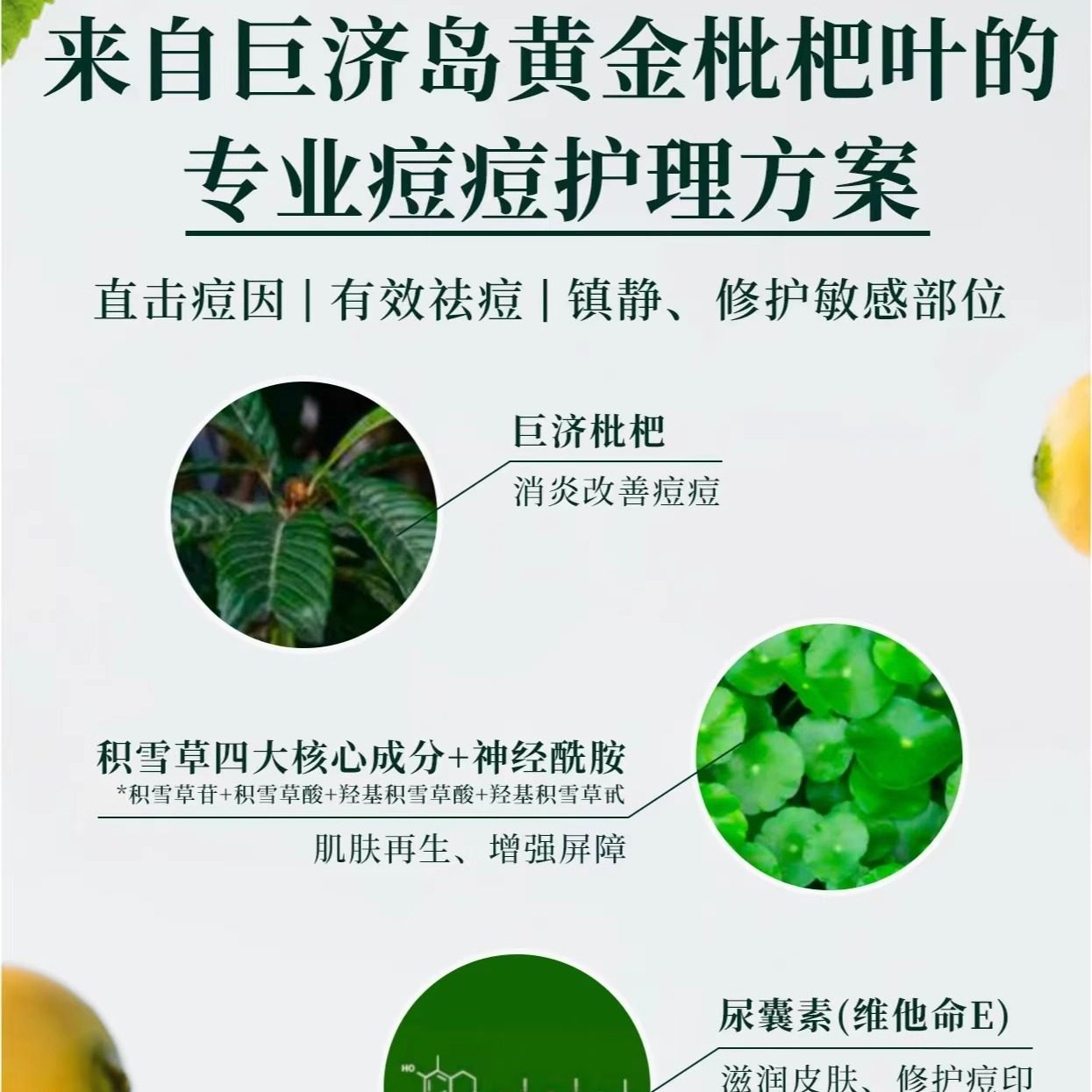 韩国正品carenology95科娜蓝祛痘膏淡化痘印闭口痘痘膏枇杷修护膏,淘宝优惠券,粉丝福利购,淘宝优惠卷