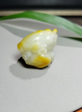 Z032103新疆的猫17.0克细润天然黄油皮脂白玉籽料招财金蟾