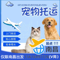 Nanchang Tailwind Pet Consignment Service National Cat Pooch Air Freight Train Steam Transport Beijing Shanghai Guangzhou Shenzhen