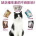 Mèo Gudeng với viên vitamin tổng hợp 200 viên Pet thú cưng chăm sóc da làm đẹp lông cải thiện lông miễn dịch c - Cat / Dog Health bổ sung