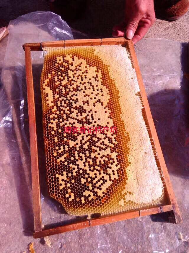 潮汕揭西客家特产 蜂蜜 大北山深山自产成熟冬蜜 500g - 图2