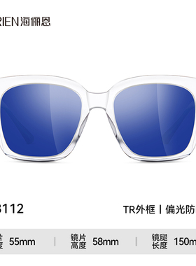 海俪恩GM墨镜复古新款潮女高级感ins太阳眼镜大框显脸小N8112