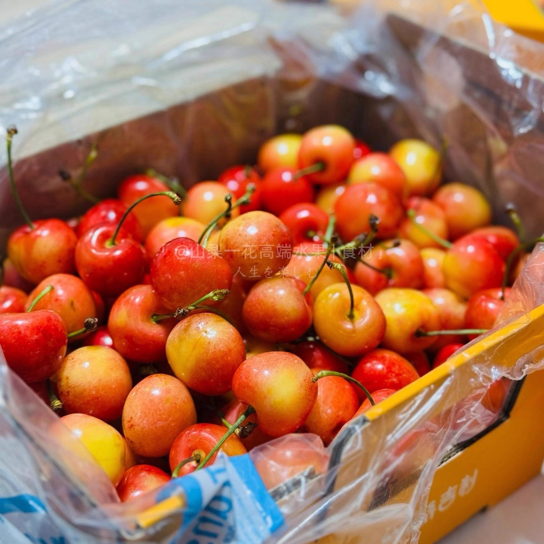 进口智利雷尼尔黄金车厘子新鲜水果4JJJJ大樱桃2斤礼盒顺丰包邮,淘宝优惠券,粉丝福利购,淘宝优惠卷