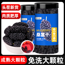 Xuan Tai Medical Mulberry Dry Special Grade Head Stubble Fresh Stock Large Grain No Sand Mulberry Dry Upgrade Canned 250g jar