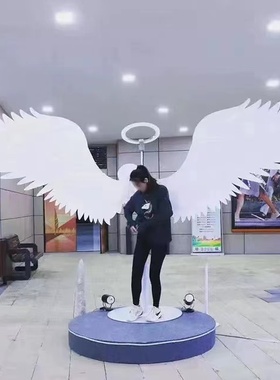 发光拍照羽毛天使商业街造景