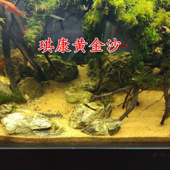 黄金沙专用斑马狗头鱼底沙沙鼠鱼底砂鱼缸造景河豚黄化妆沙-图1