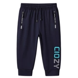 Трендовые шелковые тонкие спортивные мужские летние штаны, шорты для отдыха, коллекция 2022, оверсайз