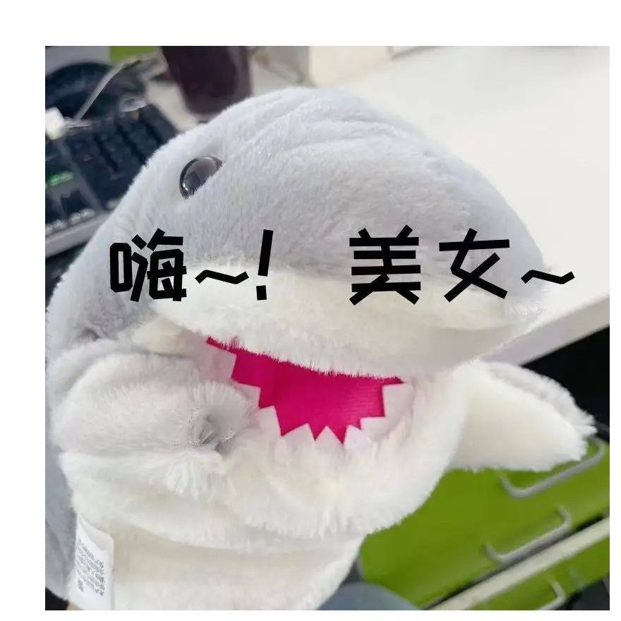 鲨臂鲨妞小鲨鱼手偶手套玩偶鲨臂毛绒玩具可张嘴公仔送女生日礼物,淘宝优惠券,粉丝福利购,淘宝优惠卷