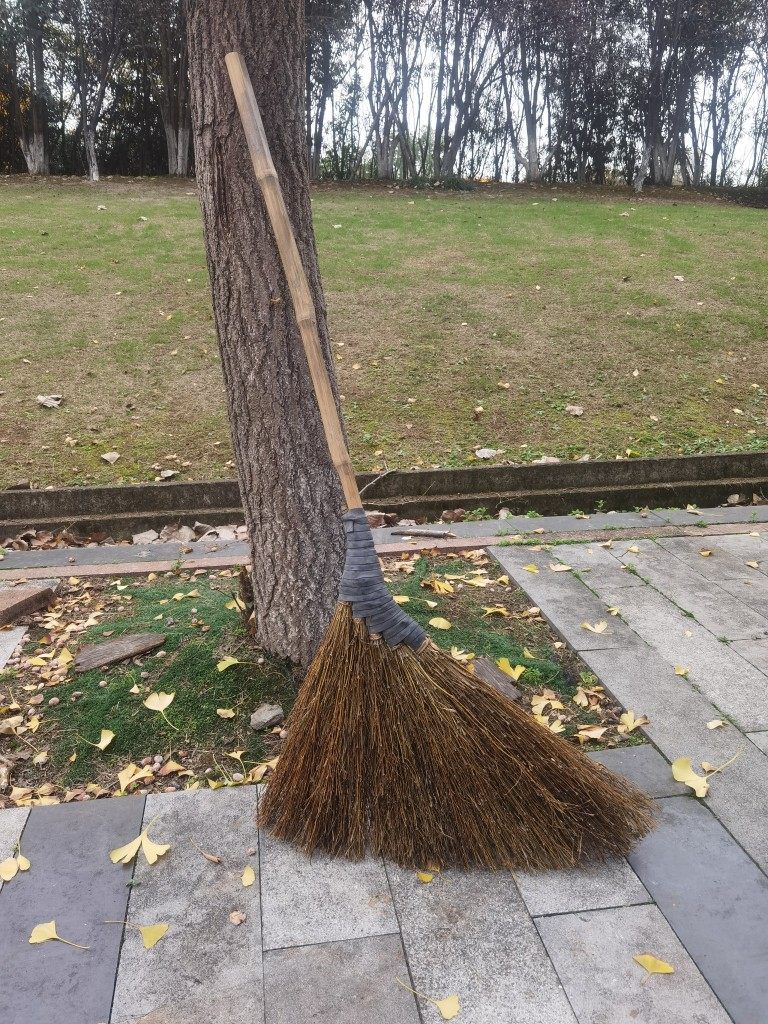 室外扫院子大扫把神器庭院花园树叶专用扫地笤帚单个户外扫帚家用_虎窝淘