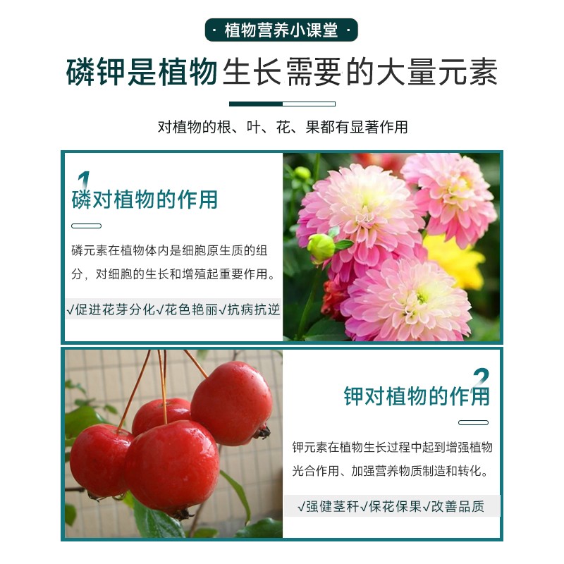 磷酸二氢钾花肥料花卉专用果树正品农用养花植物通用磷钾肥叶面肥 - 图1